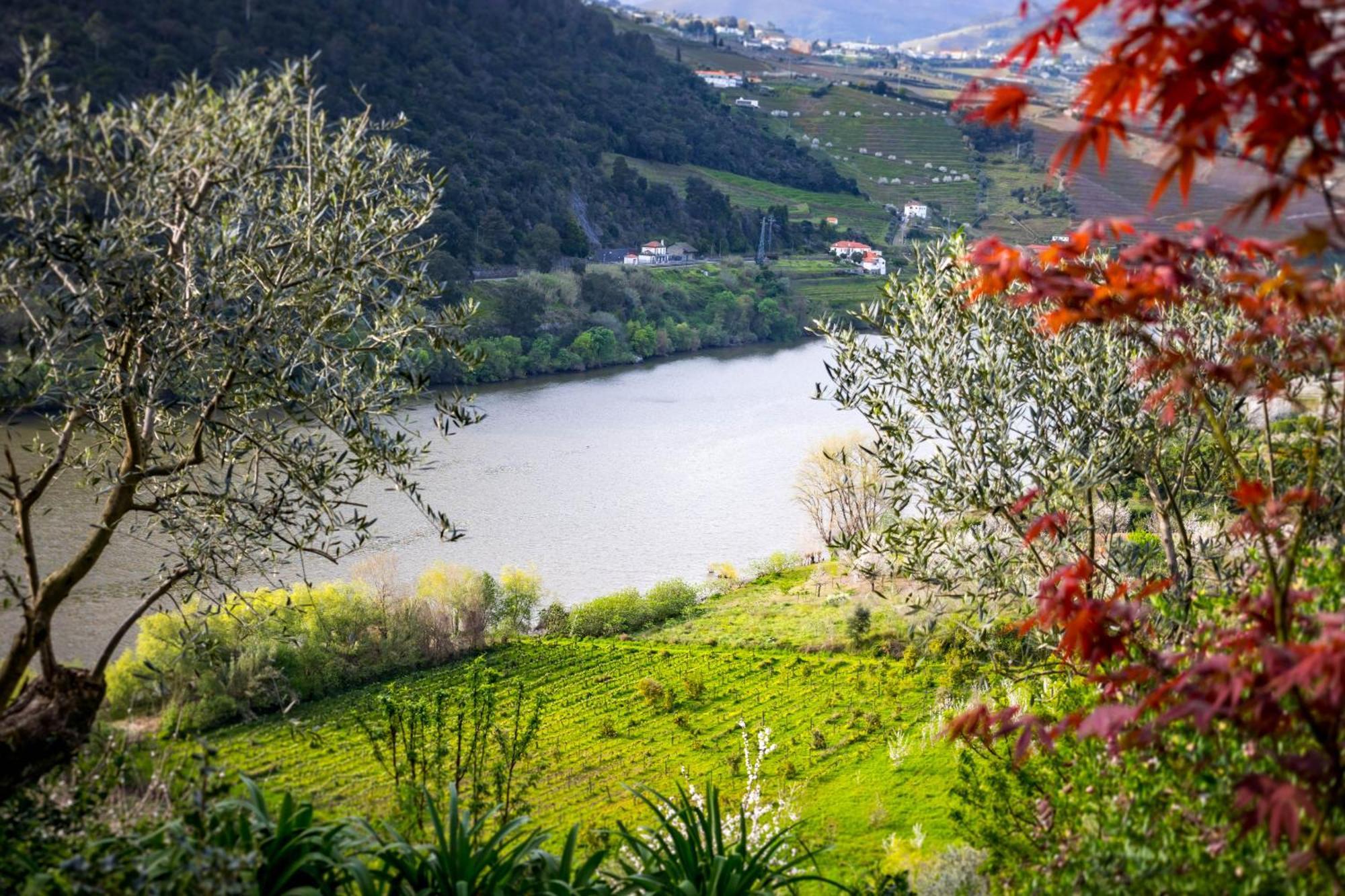 Fraga Douro House, Douro Valley Resende Luaran gambar
